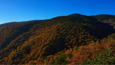 Sonbahar renkleri Tokat'tı renklendirdi