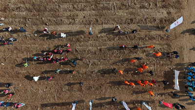 Kayseri’de 3 bin fidan dikildi