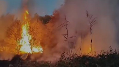 Otluk alanda çıkan yağın bahçeye sıçradı