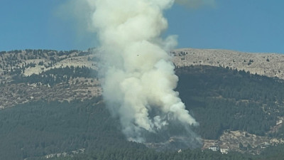 Kahramanmaraş’ta korkutan orman yangını!