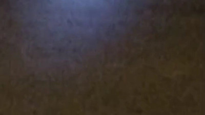 Aç kalan tilkiler mahalleyi mesken tuttu