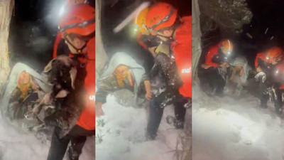 Tipide kocasıyla birlikte kaybolan yaşlı kadın 2 kuzusu ve tavuğuna sarılmış halde bulundu