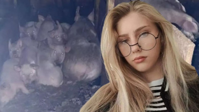 Domuzları beslerken canından oldu