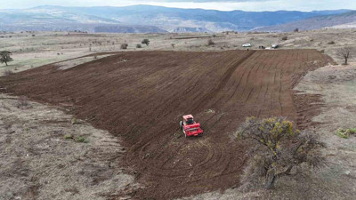 İstanbul’da köyüne döndü: 200 dönüm âtıl araziyi tarıma açtı