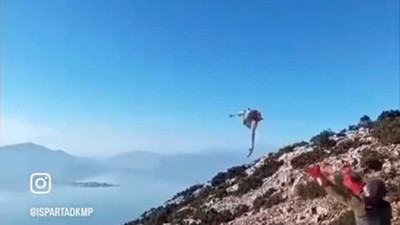 Isparta’da yaralı şahin tedavi edilip doğaya salındı