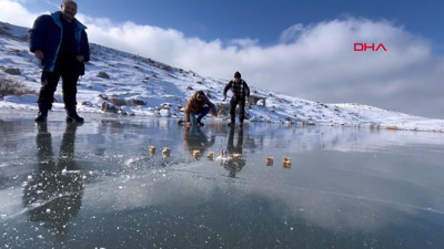 Ardahan'ın Çıldır Göl'ünde buz çılgınlığı! Yüzeyi buz tuttu Halk eğlence için koştu
