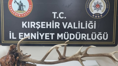 Kızıl geyik boynuzu ve kafasını satarken yakalandı