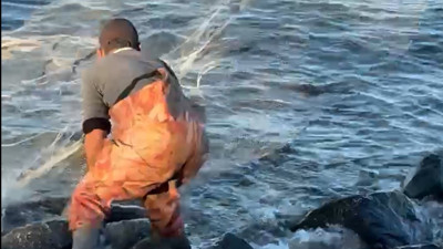 Balıklar kıyıya vurdu. Vatandaş sahile akın etti