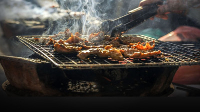 TBMM'ye ilginç başvuru! Mangal ve piknik severleri üzecek haber