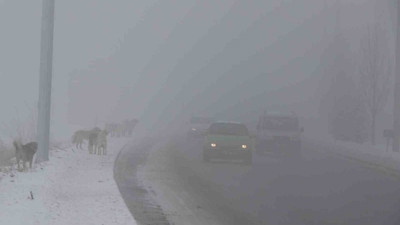 Erzincan sise gömüldü