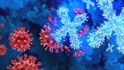 Gizemli hastalık 71 can aldı: DSÖ harekete geçti