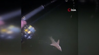 Antalya'da büyük tehlike. Kıyıya kadar geldiler görenler inanamadı