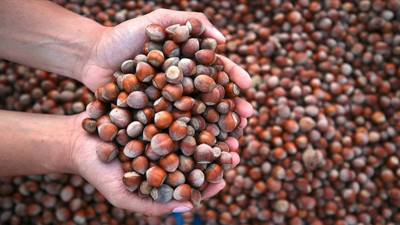 Fındık ihracatı geliri 2,3 milyar doları aştı