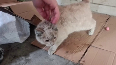 Erzurum polisinden alkışlanacak hareket