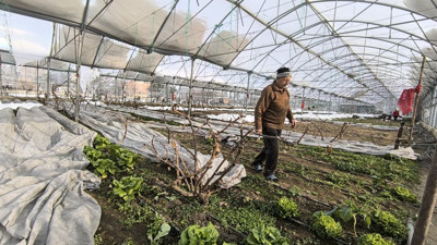Erzurum'da kar yağışı seralara zarar verdi