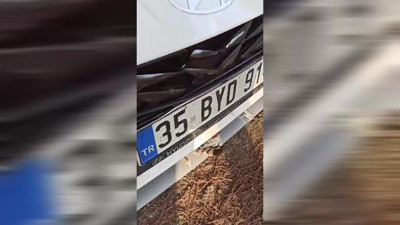 Bursa'da araç kaputuna sıkışan şahin kurtarıldı