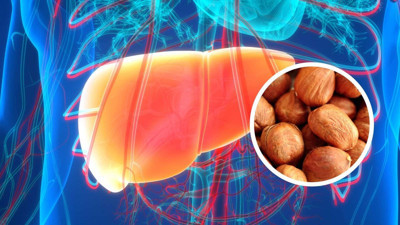 Fındık ekstresinin kanseri engellediği kanıtlandı