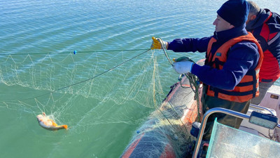 Çorum, Koçhisar Barajı’nda hayalet ağ çıktı: 4 bin metre uzunluğunda