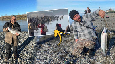 Artvin'de yırtılan balık kafesindeki somonlar Gürcistan'a ulaştı