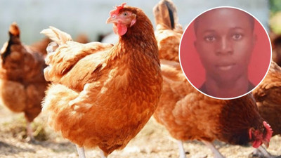 İdam cezası alan kümes hırsızı affedildi