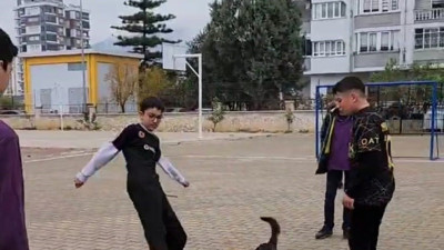 Köpeğin futbol maçı izleyenleri gülümsetti