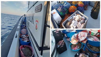 Sinop'ta 380 kalkan balığı ele geçirildi