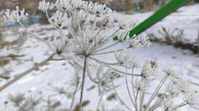 Sibirya soğukları geliyor! Hava sıcaklığı sıfırın altında 18,5 dereceye düştü