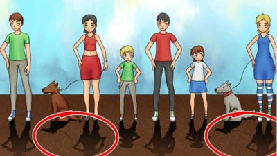 Gözleriniz ne kadar keskin? Resimlerdeki gizli hataları bulmak için ipuçları...