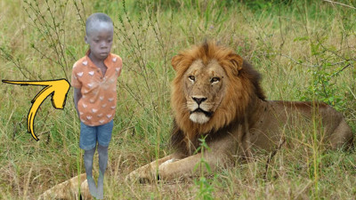 Aslanlarla sağ kalmayı başaran çocuk günler sonra bulundu