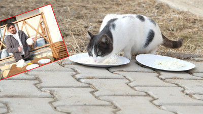 Erzincan'da sahte peyniri kediyle test etti