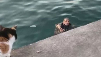 Kadıköy'de denize düşen adamın verdiği cevap şoke etti. Vatandaş sahile akın etti