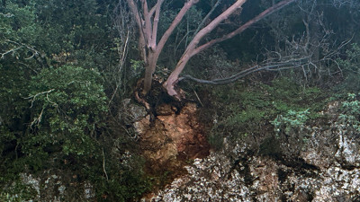 Zeus Mağarası geçici olarak ziyarete kapatıldı