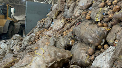 Tunus’tan iade edilmişti! Patateslerin akıbeti belli olacak