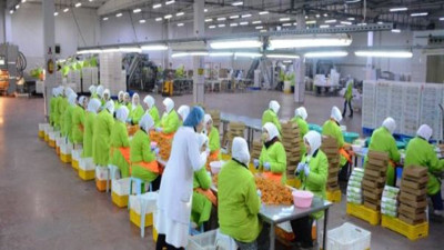 Türk tarım devi iflasın pençesinde. 40 ülkeye ihracat yapıyor