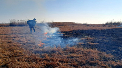 Van'da sazlıkta çıkan yangın kontrol altında