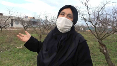 Bursa'da arsasına giden kadın hayatının şokunu yaşadı