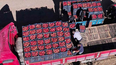 Bir pestisit vakası daha! Almanya Türk narlarını toplatma kararı aldı