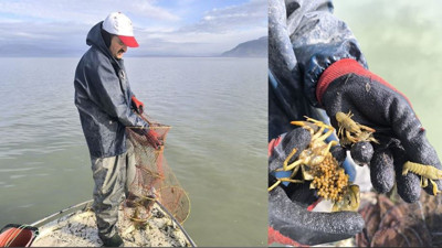 Eğirdir Gölü'nde 200 kaçak kerevit pinteri ele geçirildi