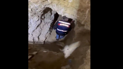 Define avcılarına jandarmadan suçüstü! 9 kişi yakalandı