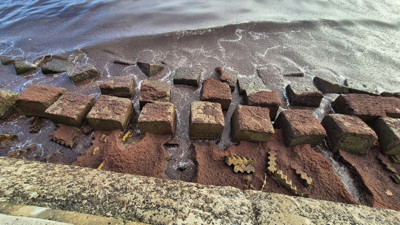 Tekirdağ'ı istila ettiler. Koku saçıyorlar