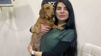 Kış aylarında evcil hayvanlar için uyarı