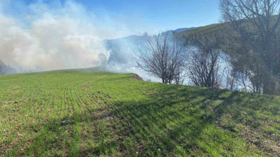 Adana’da korkutan orman yangını