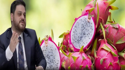 BTP Lideri Hüseyin Baş eğitim sistemini ejder meyvesiyle eleştirdi