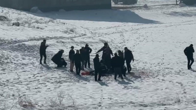 Talihsiz Eslem öldükten sonra akılları başlarına geldi! Hakkari'de başıboş köpekler toplanıyor