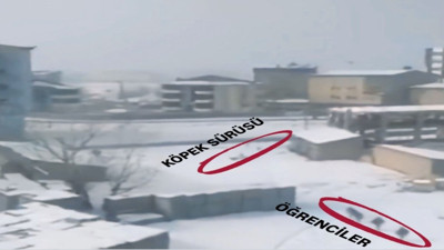 Sokak köpeklerin öğrencilere saldırı anı böyle görüntülendi