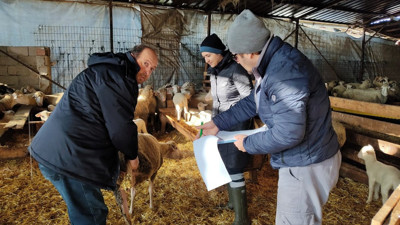 Küçük ve büyükbaş hayvanların kontrolleri yapıldı