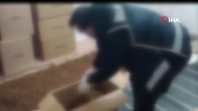 2 ilde kaçak tütün operasyonu