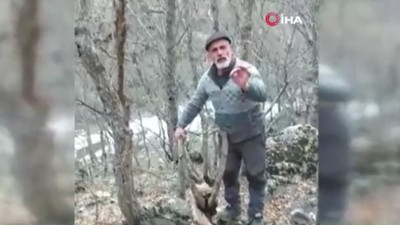 Avcılar öldürdü derisini yüzdü