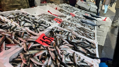 İstavrit tezgahta 150 lira