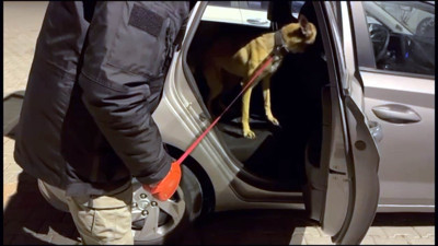 Polis zehir tacirlerini kıskıvrak yakaladı